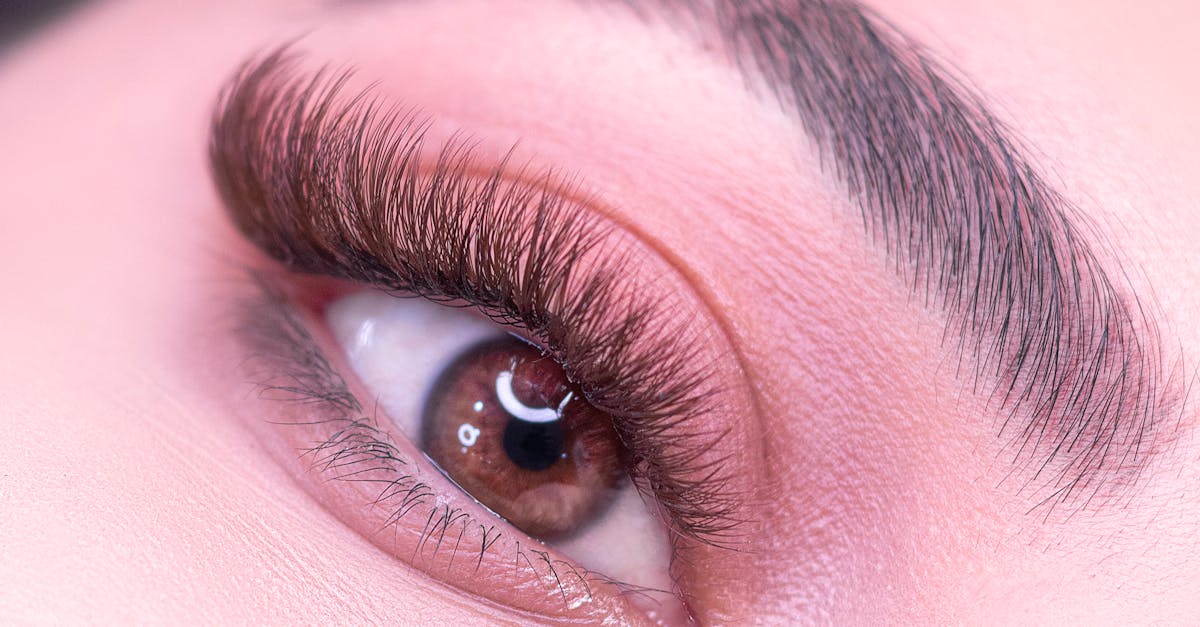 découvrez des conseils essentiels pour maintenir la santé de vos yeux. apprenez comment prévenir les problèmes oculaires, choisir les bonnes lunettes et adopter une alimentation bénéfique pour une vision optimale.